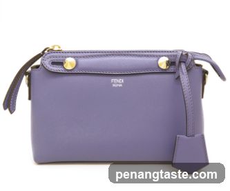 Fendi Bag