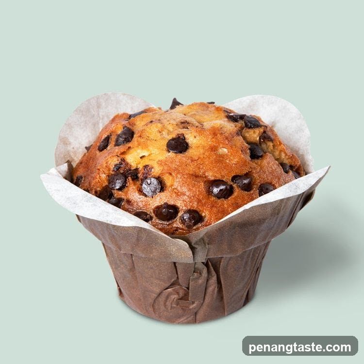 Chocolate Chip Muffin