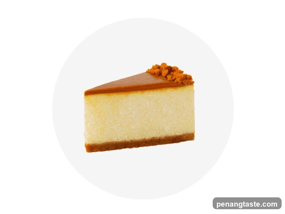 Cheesecake Slice