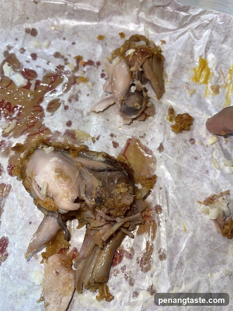 Food Remains on Paper