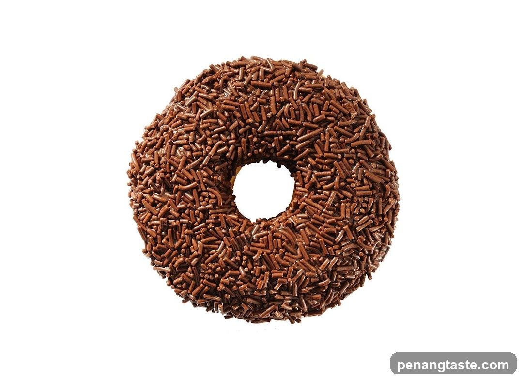 Chocolate Sprinkled Donut