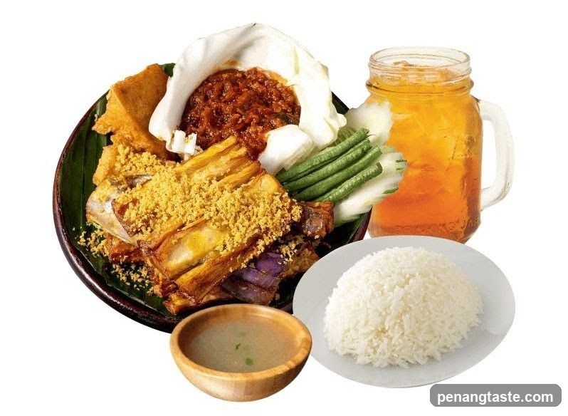 Fried Eggplant and Rice Set