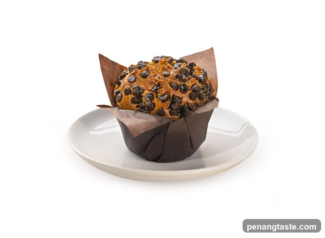 Chocolate Chip Muffin