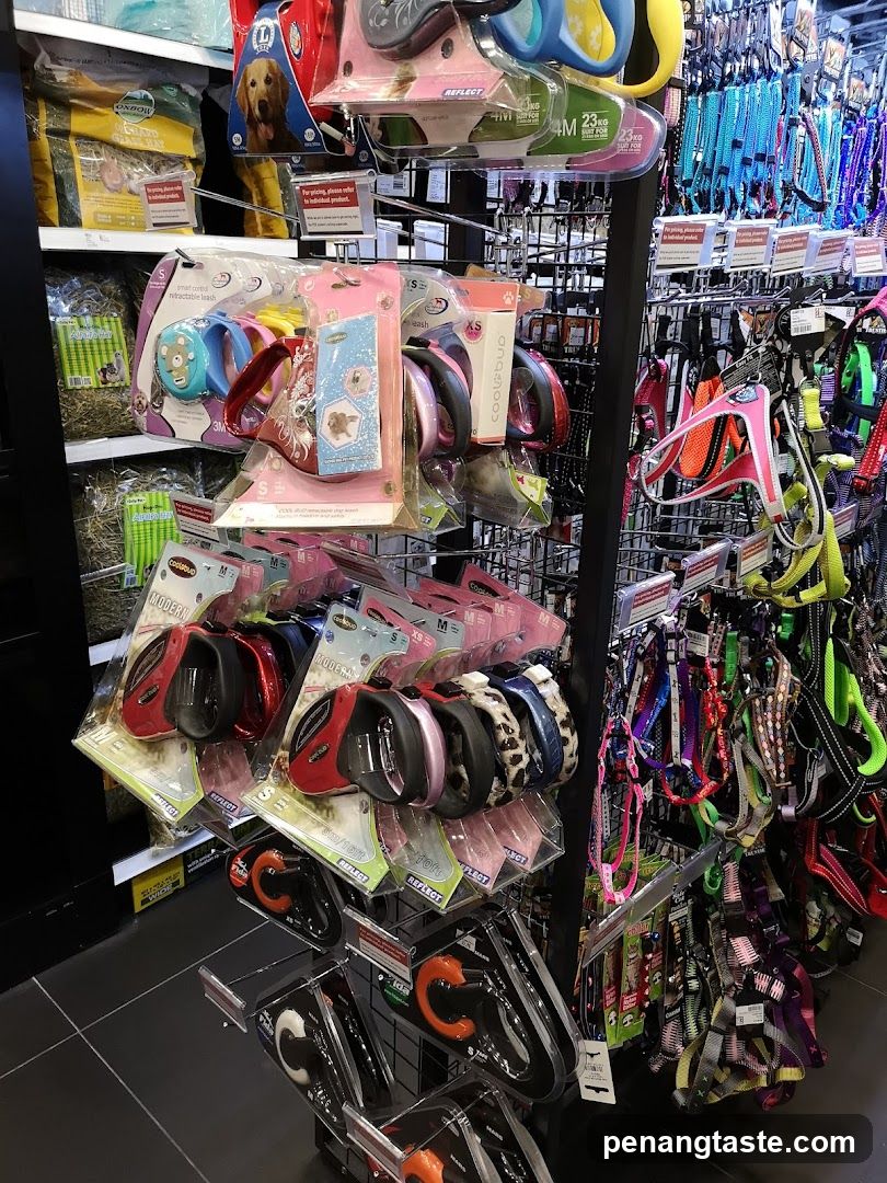 Pet Leashes and Harnesses
