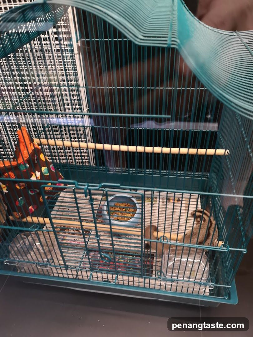 Pet Cage with Animals