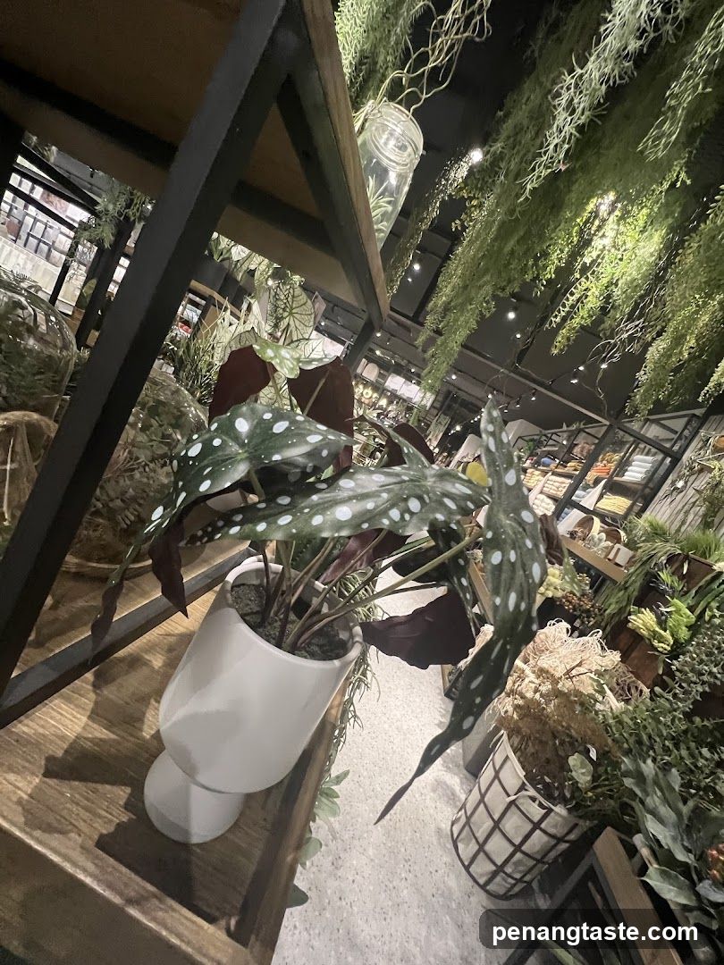 Indoor Plant Display