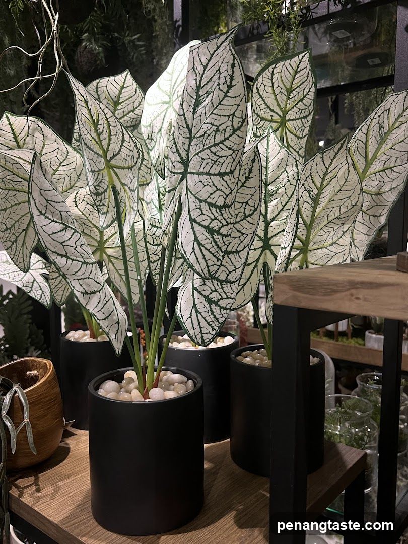 Artificial Caladium Plants