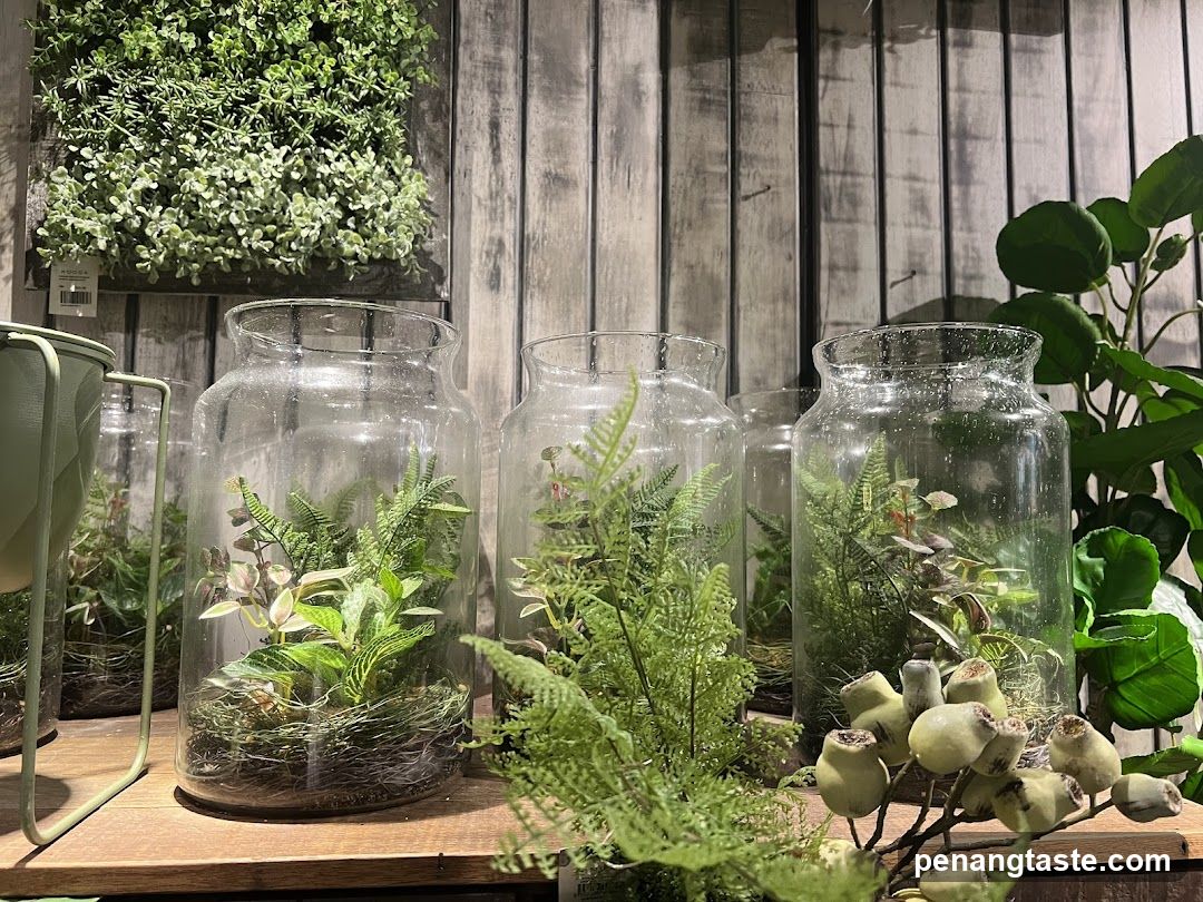 Terrariums with plants