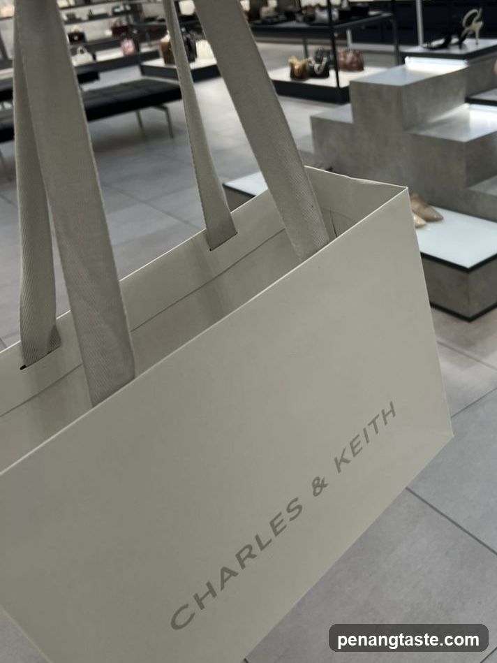 Charles & Keith Shopping Bag