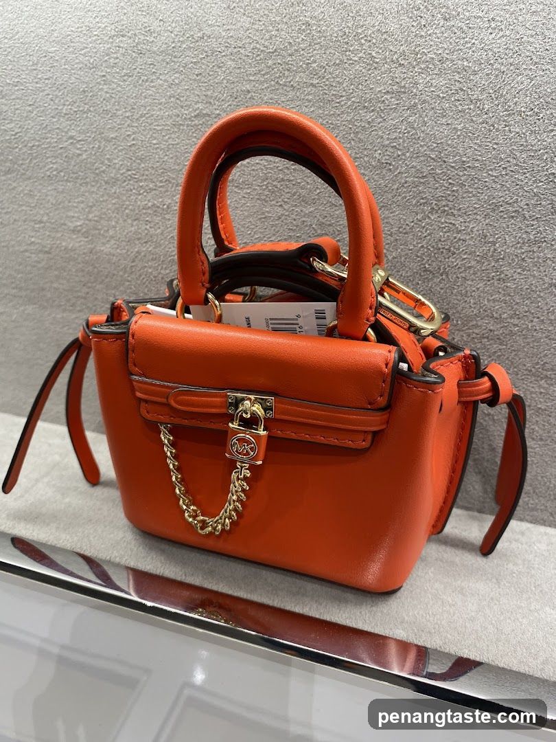 Orange Handbag
