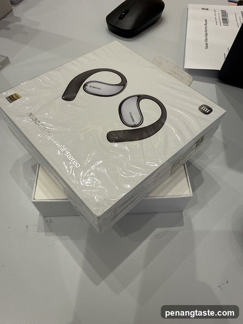 Xiaomi Openwear Stereo Earbuds Box