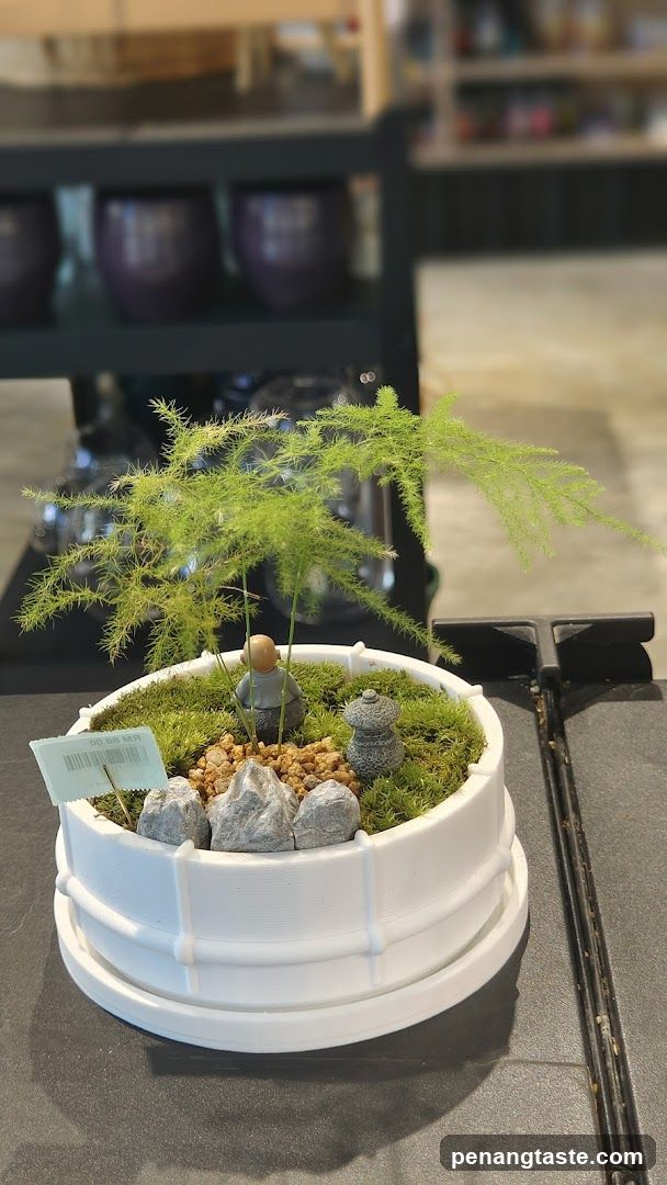 Succulent Shop