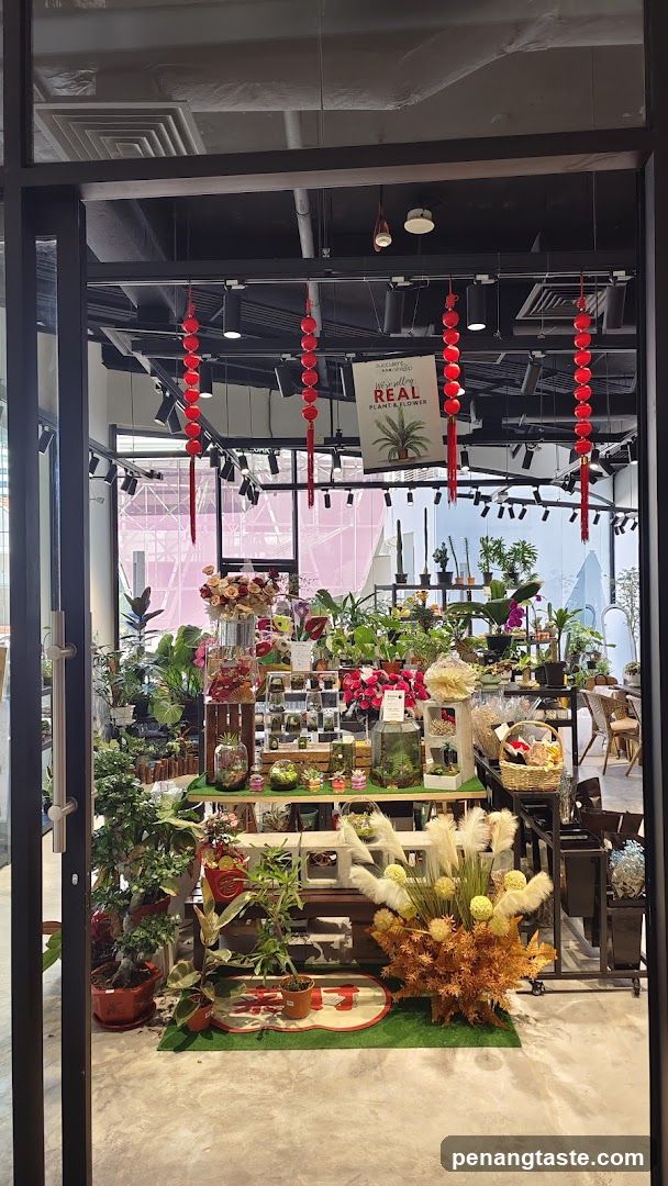 Plant and Flower Shop Display