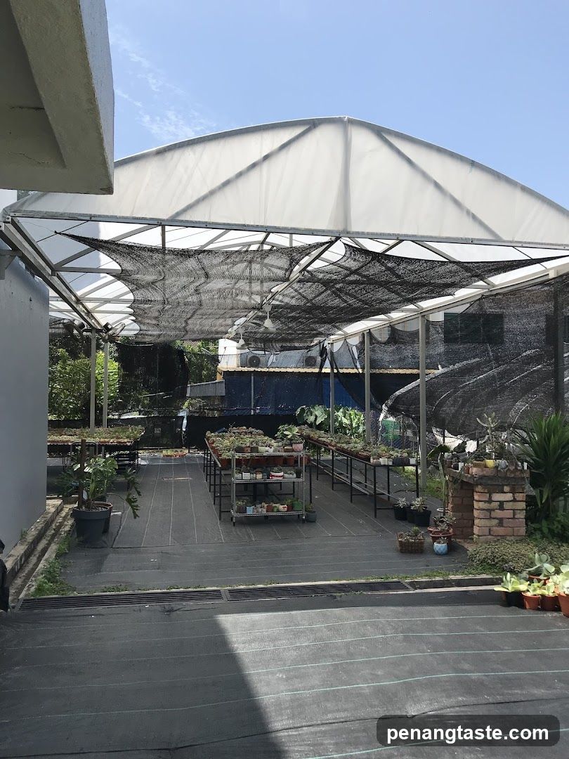 Greenhouse with Plants