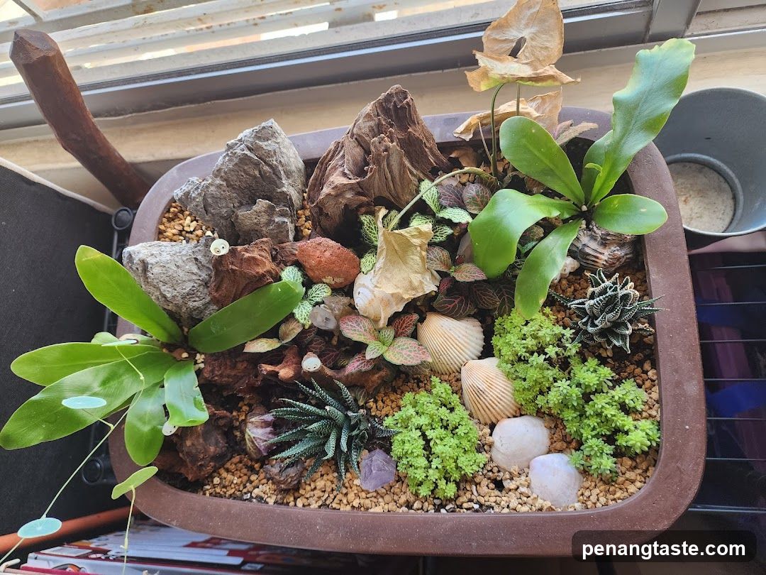 Terrarium with Plants and Decorative Elements