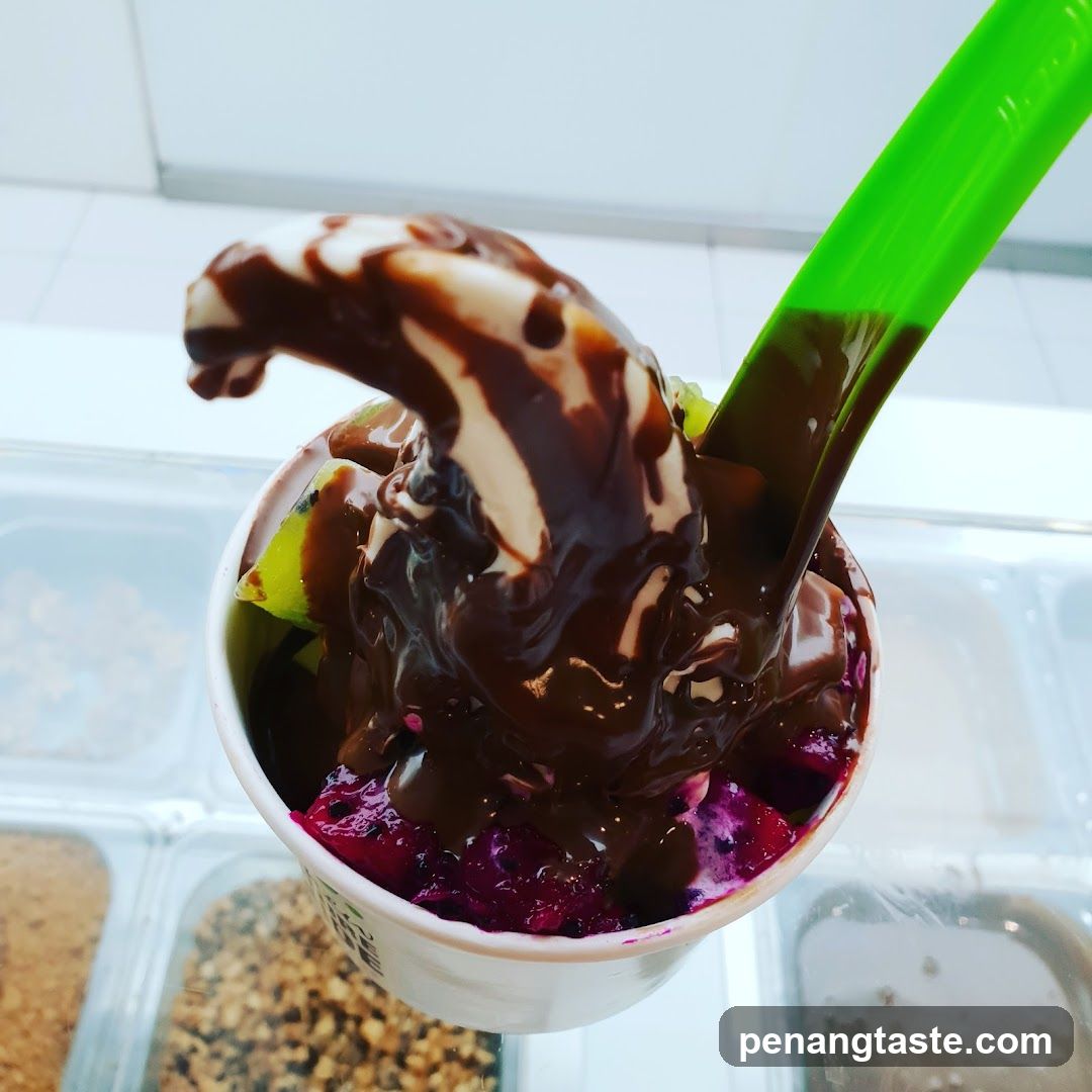 Frozen Yogurt with Chocolate Drizzle and Fruit