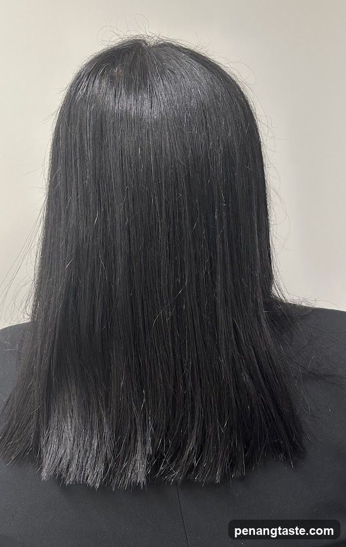 Back of Head with Dark Hair