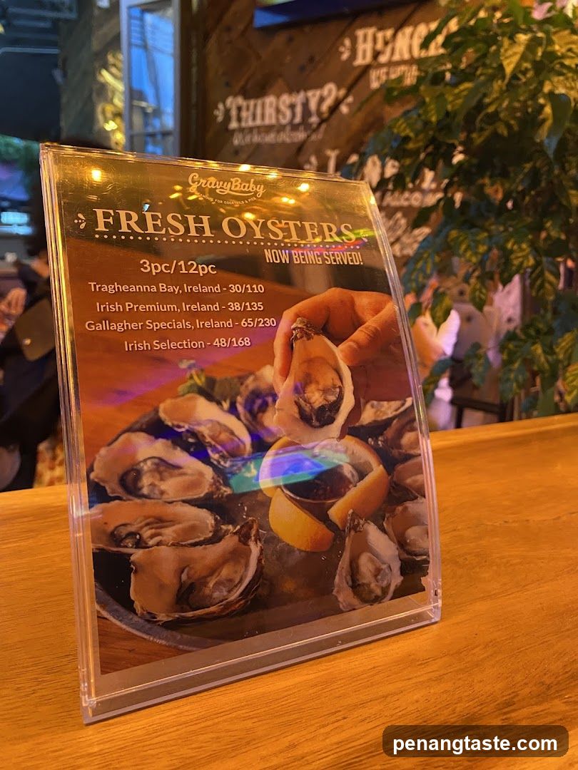 Fresh Oysters