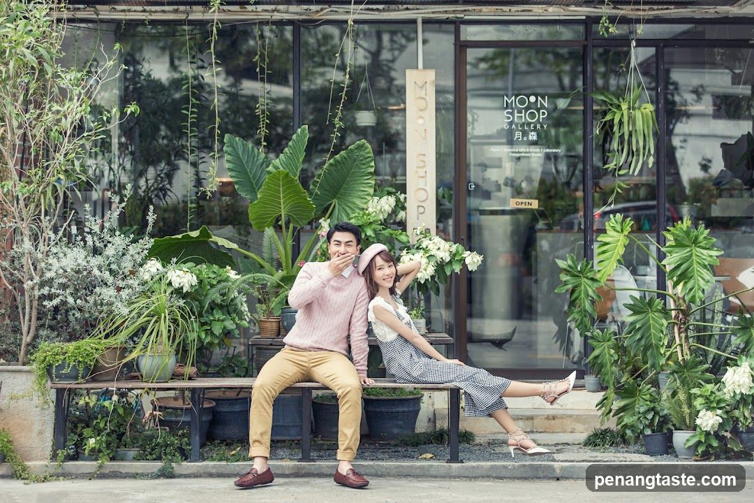 My Dream Wedding