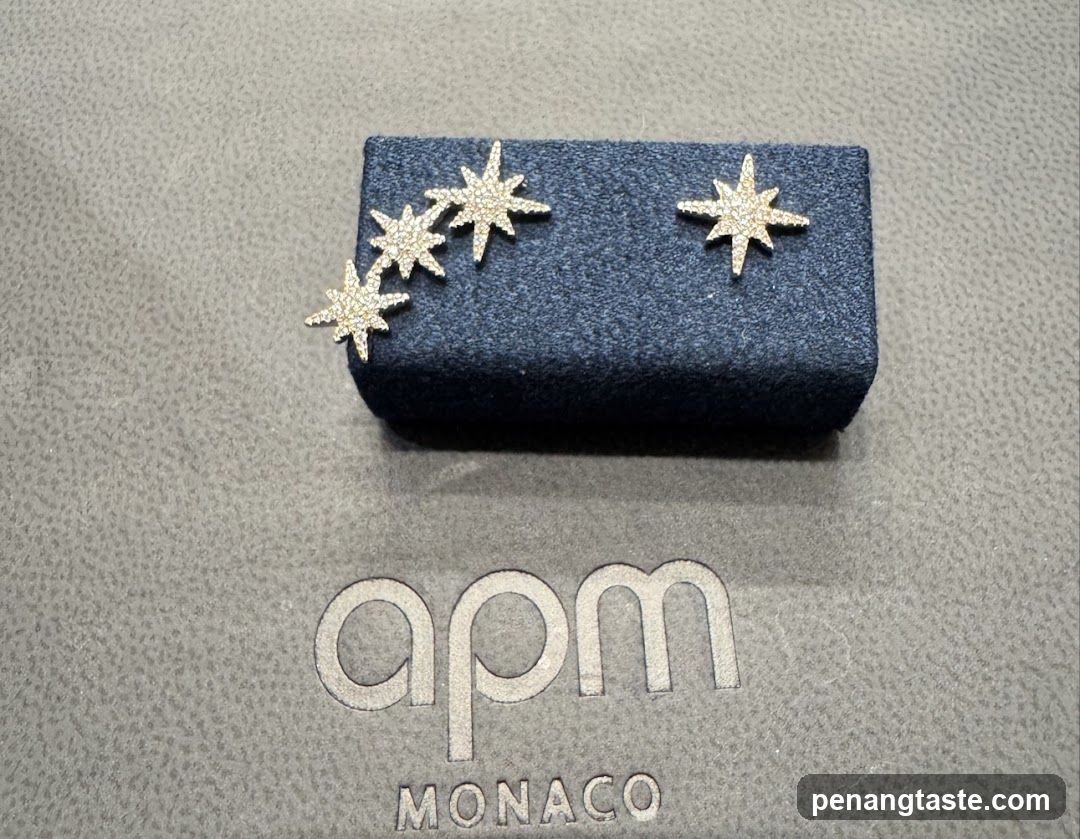 Star Earrings