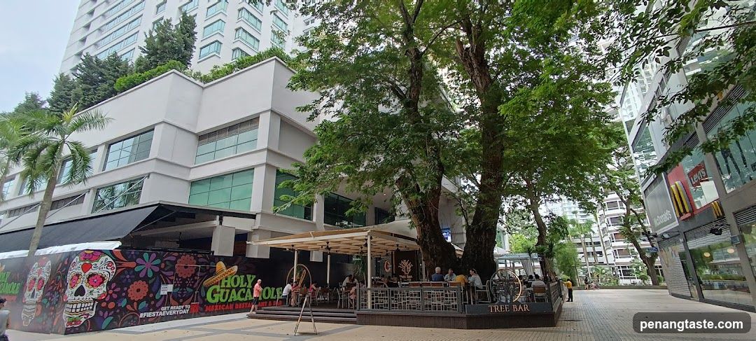 Outdoor dining area with large trees