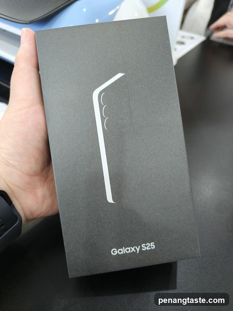 Galaxy S25 Box