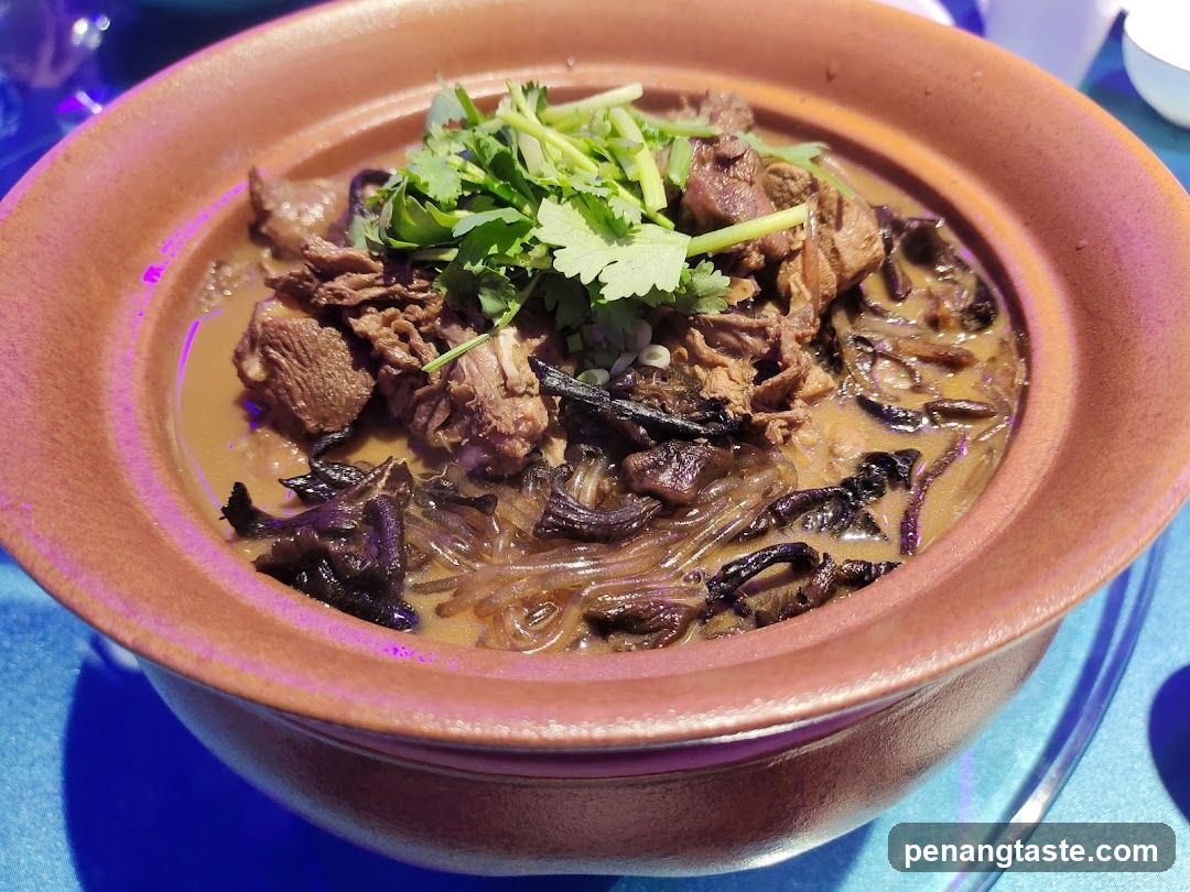Braised Meat and Noodles