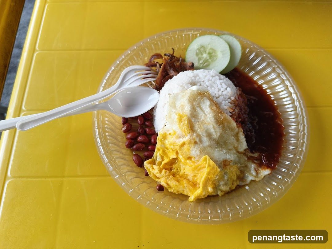 Nasi Lemak Kukus Cilibilis