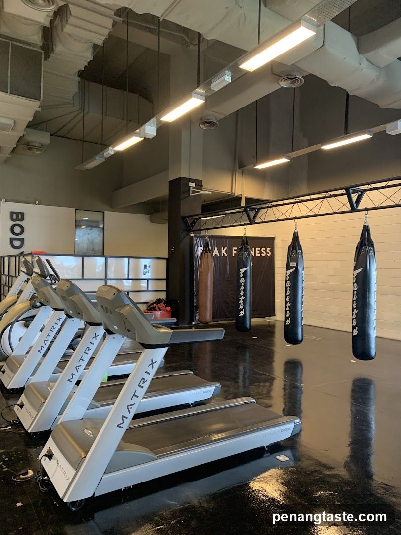 Gym Interior with Treadmills and Punching Bags