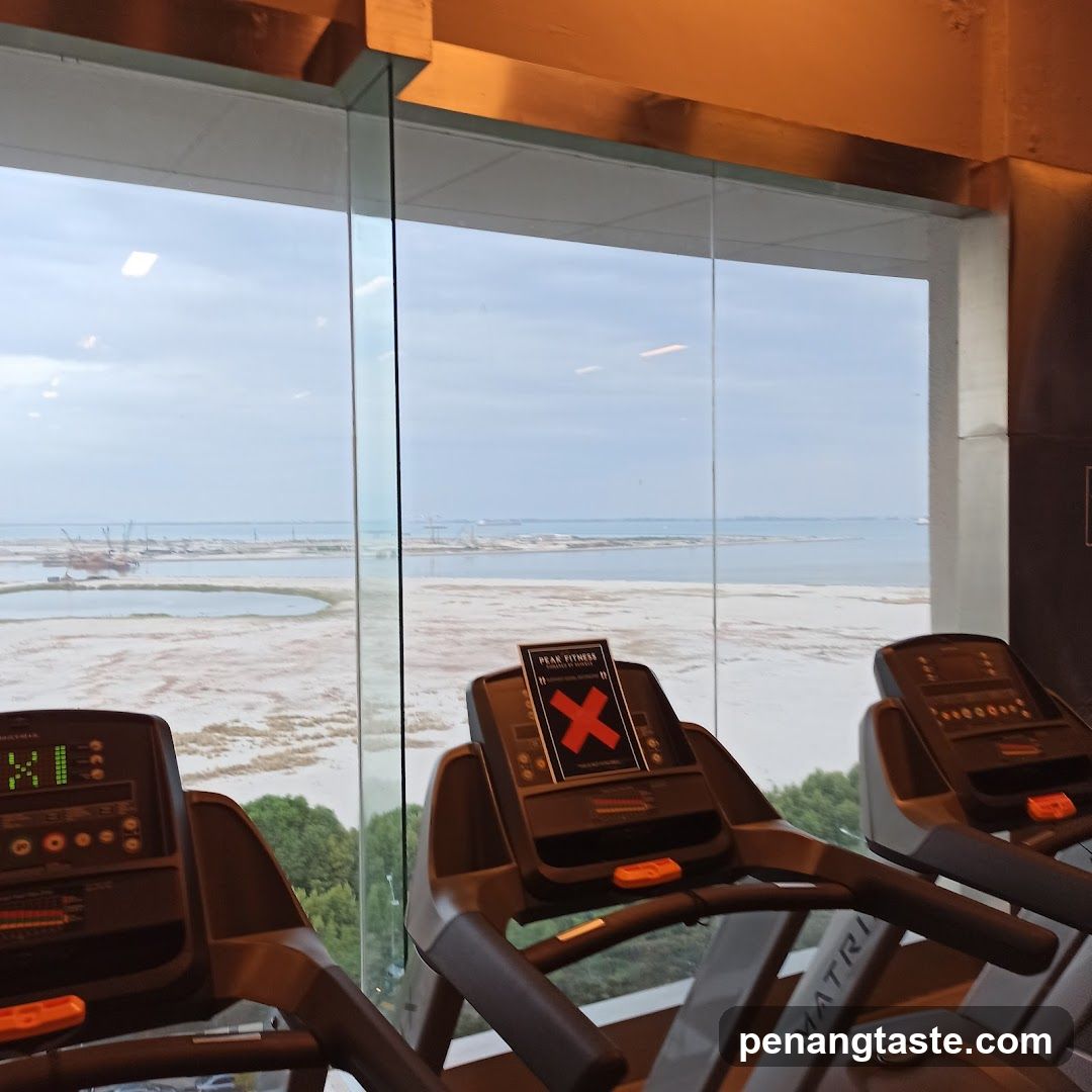 Treadmills with a view