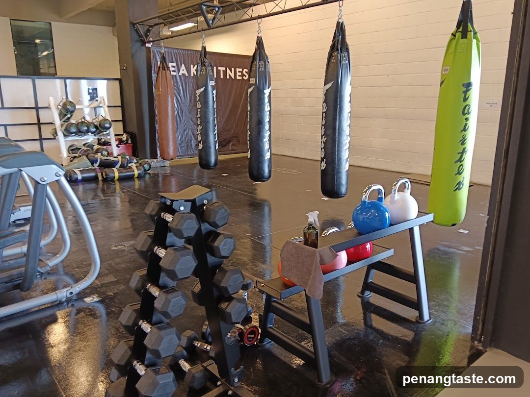 Gym Equipment