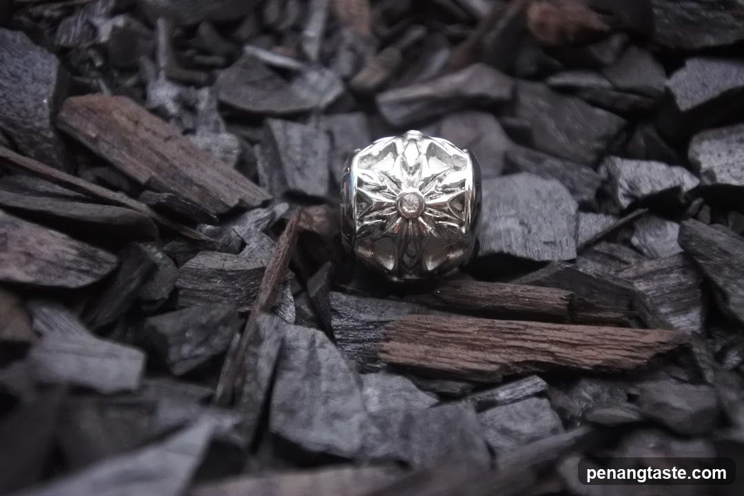 Silver Charm on Charcoal