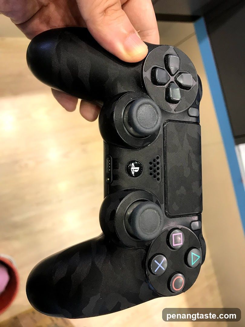 Camouflage Game Controller