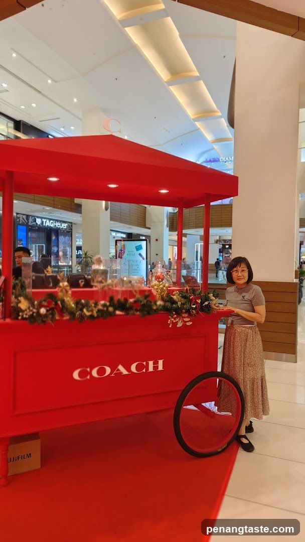 Coach Pop-Up Cart