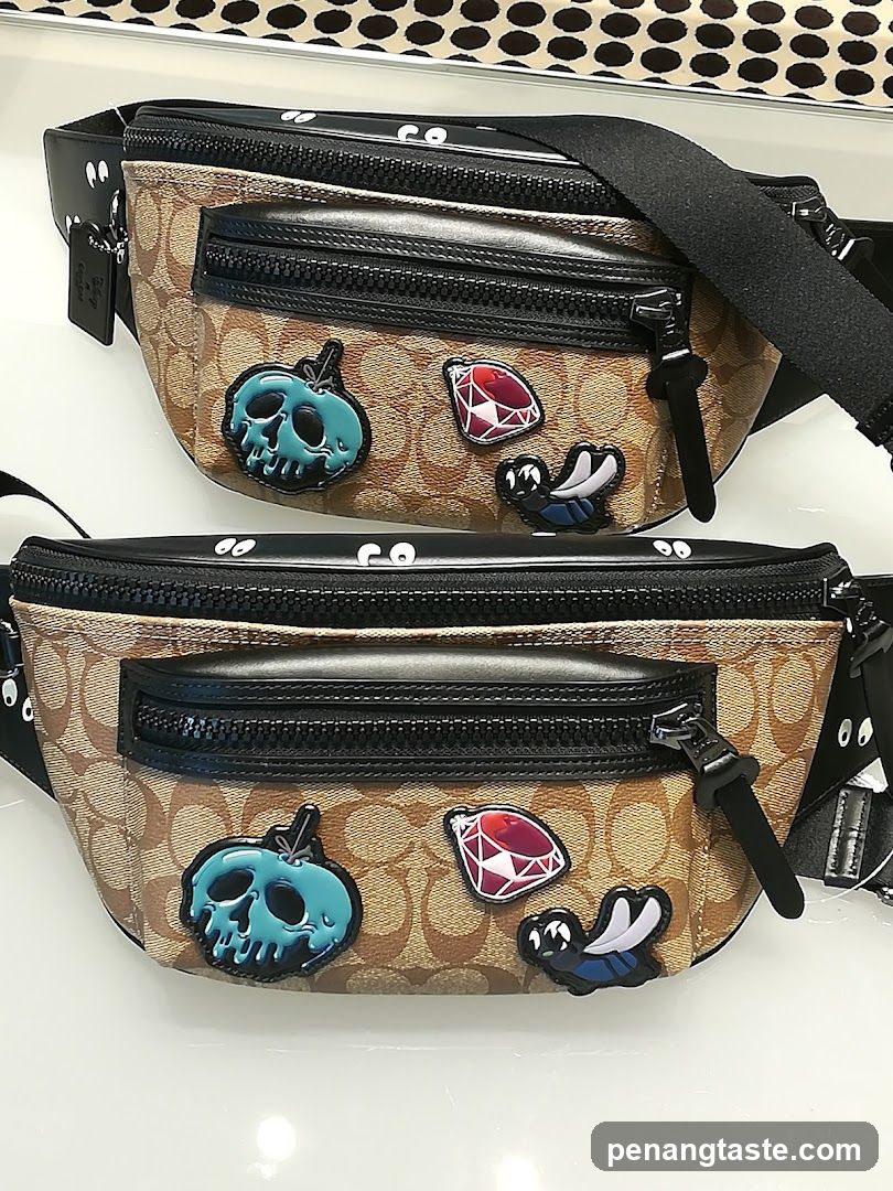 Coach Belt Bags