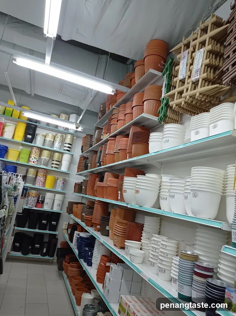 Plant Pots and Containers