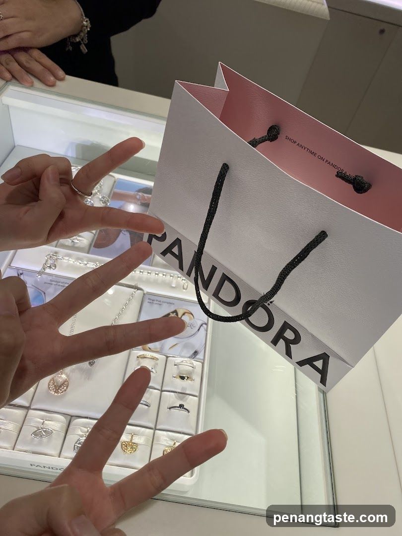 Pandora Shopping Bag and Jewelry Display