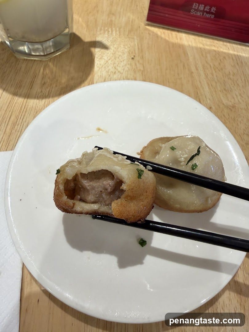 Fried Dumplings