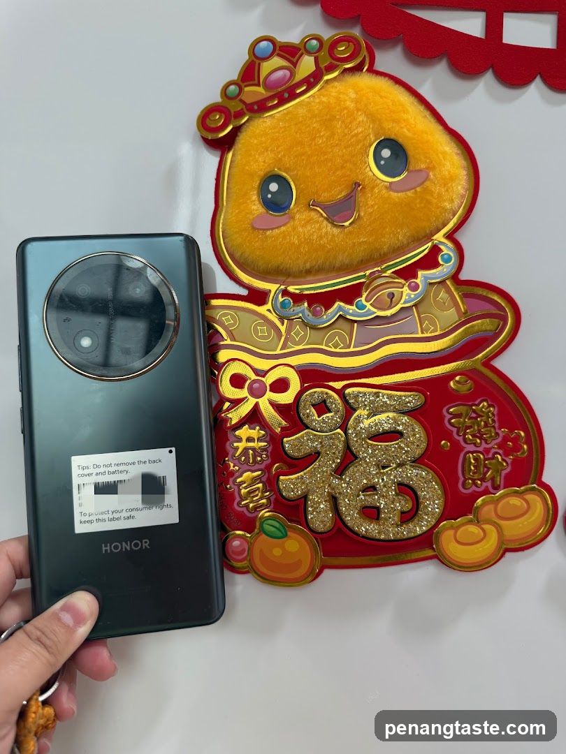Smartphone and Chinese New Year Decoration
