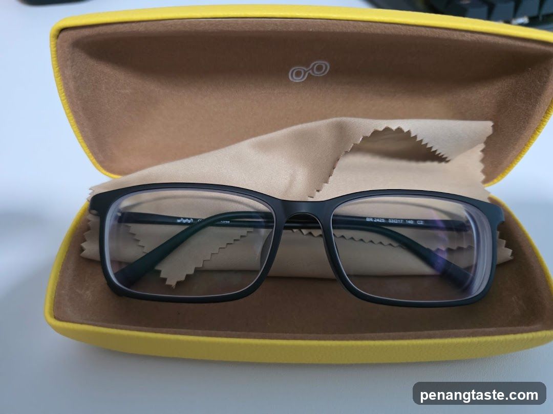Eyeglasses in a case