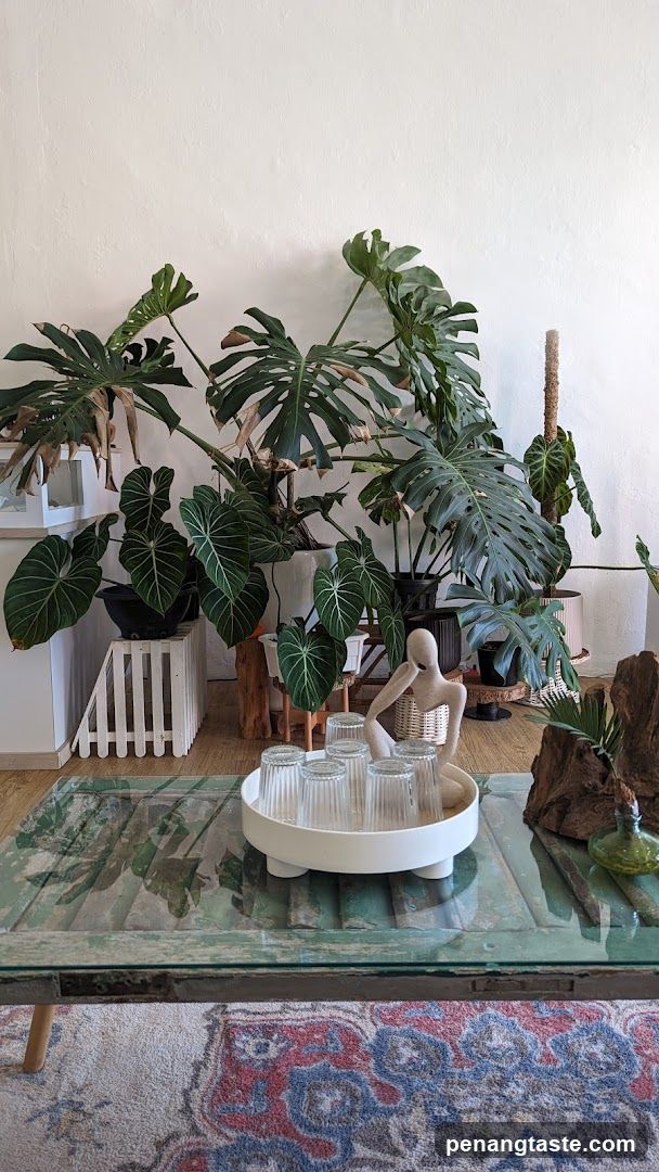 Interior Plant Display