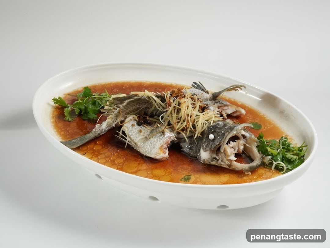 Steamed Fish Dish