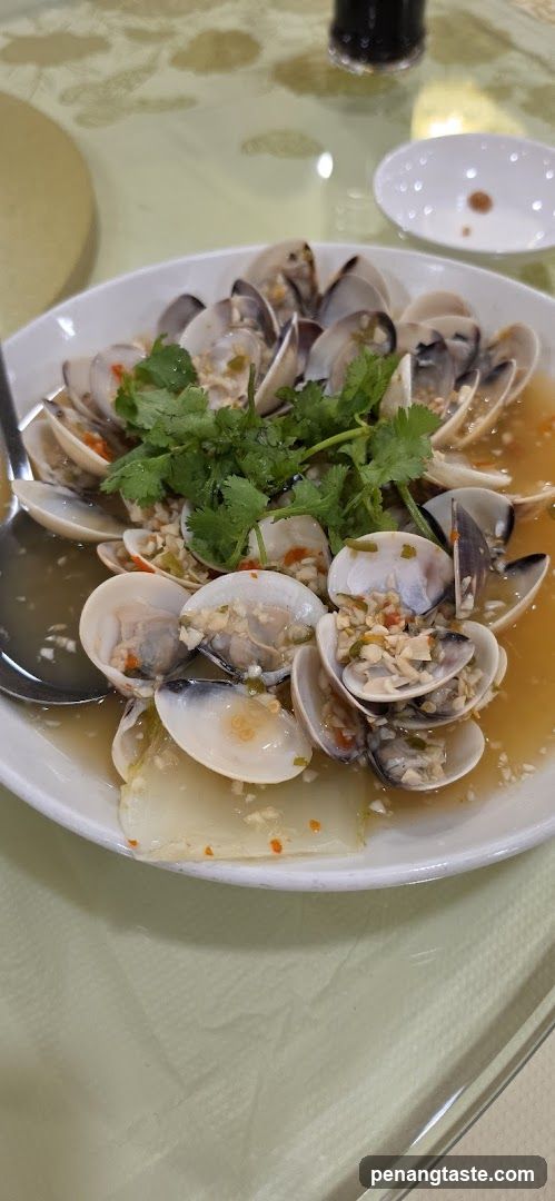 Clams Dish on Table