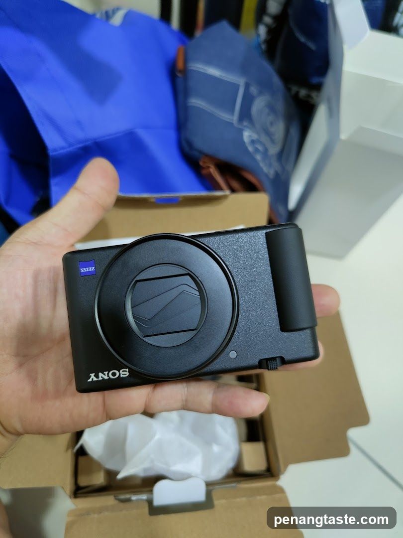 Hand holding Sony camera
