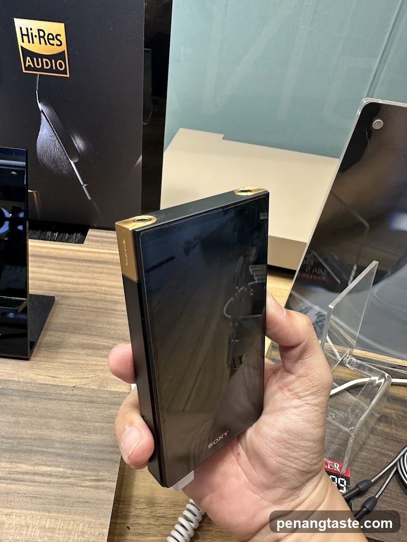 Sony Hi-Res Audio Device Display