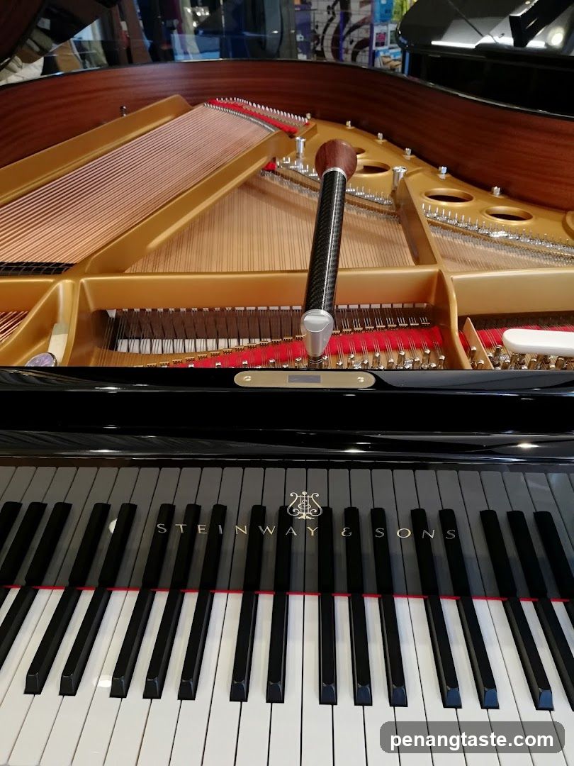 Steinway & Sons Grand Piano Interior
