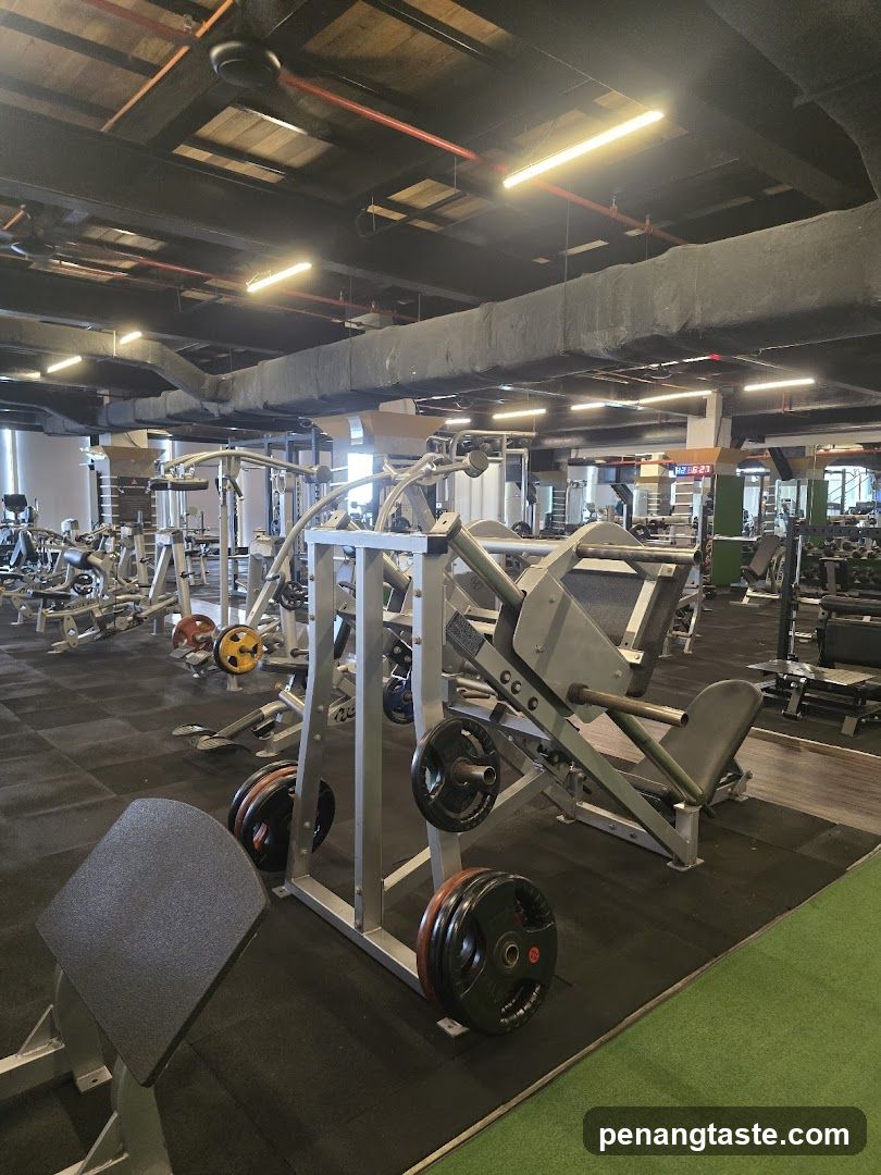 Gym Equipment