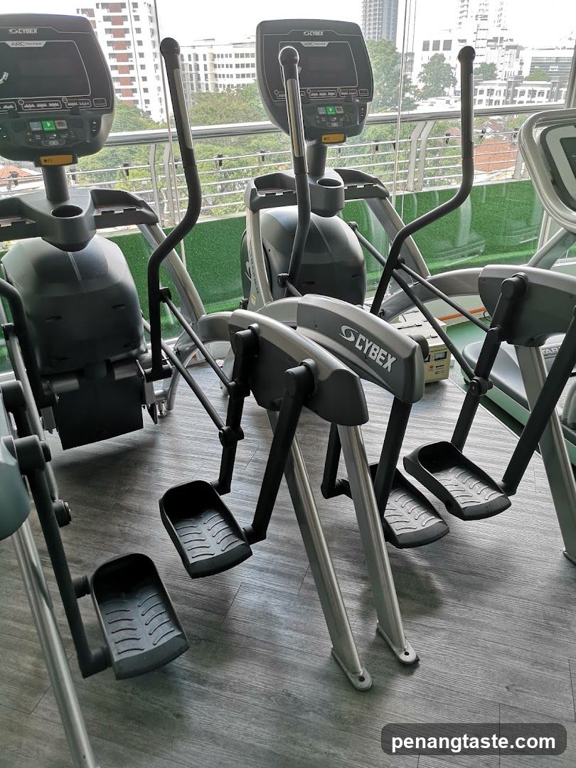 Cybex Arc Trainers