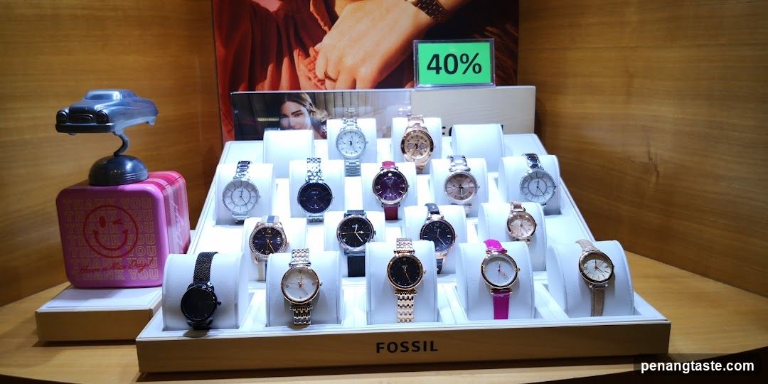 Fossil Watch Display