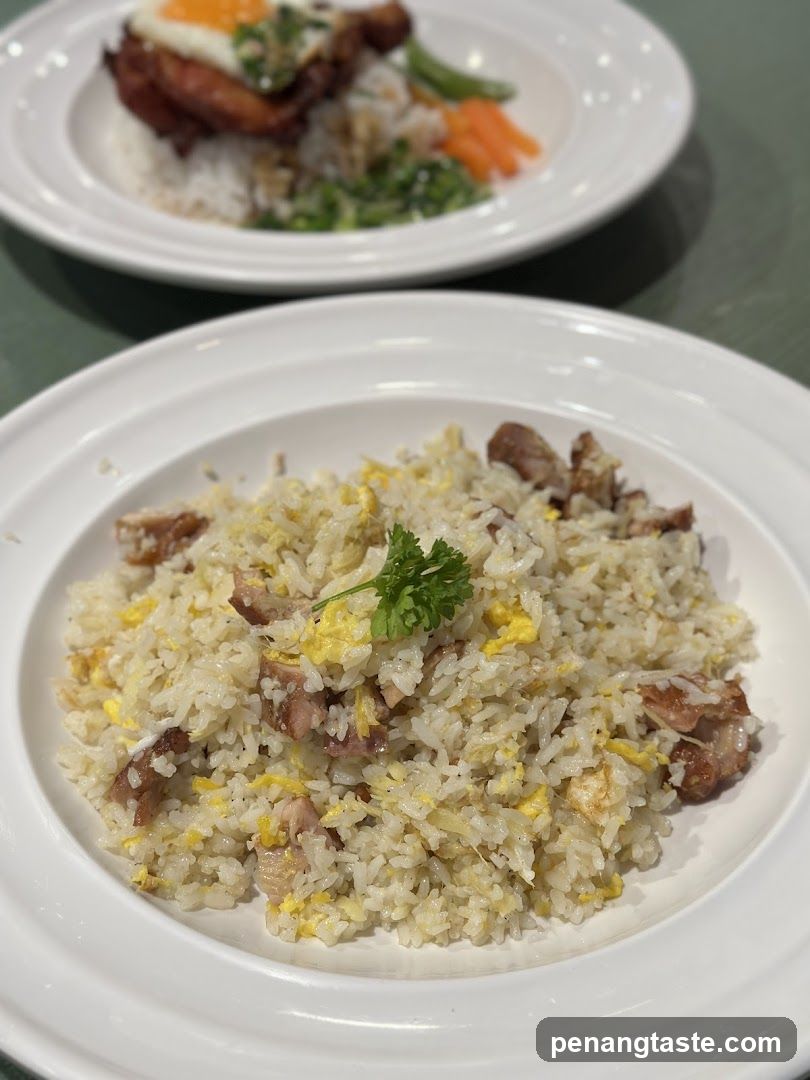 Food Dish